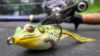 Catch More Bass With The Frog!