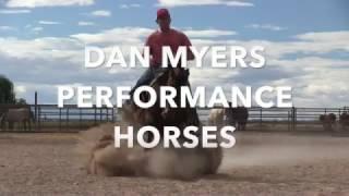 DAN MYERS SALES & TRAINING