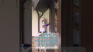 Live Clean Today: The Best Window Cleaning Technique