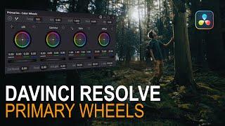 How to Use Primary Wheels in DaVinci Resolve | Color Grading Basics (Ep 1/7)