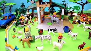 Building Playmobil Barnyard Petting Zoo and Farm Country Animal Figures