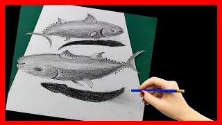 簡單3D立體鉛筆畫欣賞：舒壓畫！立即畫出二隻立體魚 (How to Draw a 3D Fish on Paper Easy?) (畫語人生)