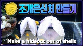 [물생활](ENG)조개은신처 만들기! Make a hideout out of shells.