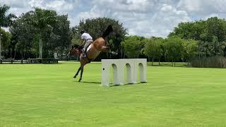 At Home with Glenbeigh Farm | Preparing for a Return to Competition | Show Jumping Training Tips