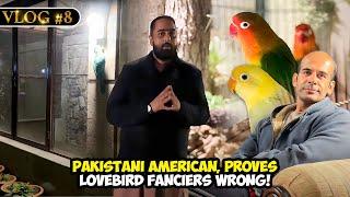 #NS_Vlog Pakistani American, Proves Lovebird Fanciers Wrong!