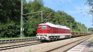 Treni in transito alla stazione di Assling - Züge fahren durch den Bahnhof Aßling