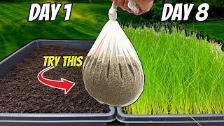 The FASTEST Way to Grow Grass Seed: Pregermination Secrets REVEALED!