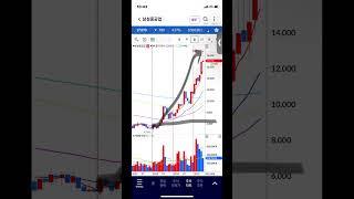 삼성중공업 월봉 많이 오른 자리, 하락 전환 가능, 주식 주가 전망, 차트 분석
