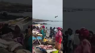 Marché aux poissons - Port de Dakar Sénégal #dakar / Fish market at the Port of Dakar Senegal