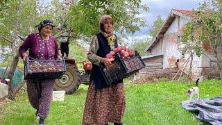 Village Life. Daily Life of Family in the Mountains. Documentary.