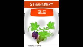 Fruits in Korean | Korean Vocabulary | Korean Language