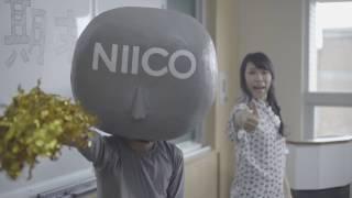 NIICO 北二區學生諮詢平台 - 正式上線（小精靈篇）