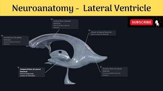 Lateral Ventricle of Brain | Parts | Boundaries | Choroid Plexus | Clinical Correlation