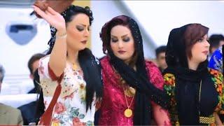 Best Kurdish Dance Full Halparke شاد فول هه لپه رکی