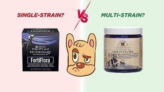 What's the Best Probiotics for Dogs? Single-Strain or Multi-Strain Probiotics?