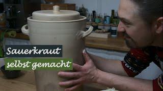 Großer Sauerkraut-Guide - Vorteile & Herstellung