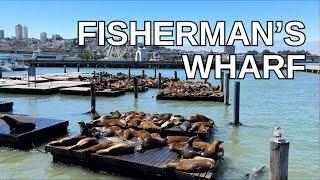 SAN FRANCISCO Walking Tour [4K] - FISHERMAN'S WHARF