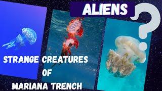 Strange Creatures in Mariana Trench | New creature | 2020 |Top List Media.