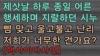 [핵사이다사연] 어른 흉내내던 시누 따귀 맞고 울고불고 ㅋㅋㅋ 사이다사연 사이다썰 미즈넷사연 응징사연 반전사연 참교육사연 라디오사연 핵사이다사연 레전드사연