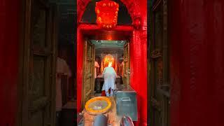 PM Shri Narendra Modi Ji offered prayers at Kaal Bhairav temple Varanasi l shorts l youtubeshort