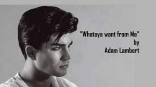 "Whataya Want From Me" by Adam Lambert