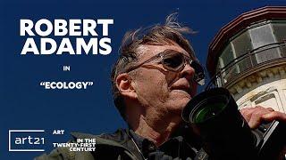 Robert Adams in "Ecology" - Season 4 - "Art in the Twenty-First Century" | Art21