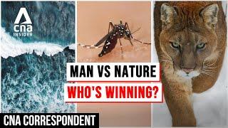 How Humans Are Battling Dangerous Pests, Wildlife, Floods | CNA Correspondent | Full Episode