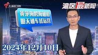 【湾区最新闻】黄茅海跨海通道：大湾区互联互通再添“关键一横”|广州年夜饭预订火爆 价格较往年无明显变化|网购商品数量“货不对板” 网友吐槽商家“捉字虱”|20241210完整版#粤语 #news