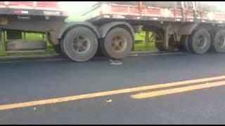 Snake in highway, attacking trucks