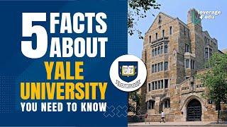 Yale Facts | Study at Yale |  Study at an Ivy League college | Leverage Edu