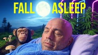 Joe Rogan Talks You to Sleep | Conspiracy Theories #joerogan  #podcast #sleep #podcastclips