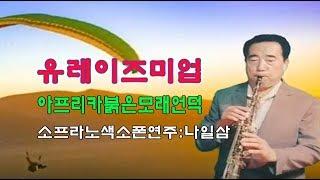 아프리카나미비아붉은모래언덕소프라노색소폰-유레이즈미업~