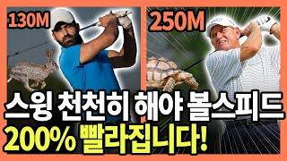 골프 스윙 천천히해야 비거리가 높아집니다! (20만 구독자 이벤트 완료)