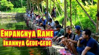 Tes Umpan Dikolam Pemancingan Air Hijau Gacor Bro | Fishing Trip Episode #1