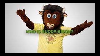 Who is Buddy Bison?