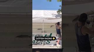 catfish racing 