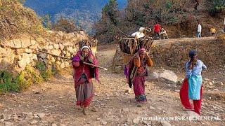 Daily Lifestyle of Nepali Village People in Mid West || Primitive Lifestyle ||@RURALLIFENEPAL