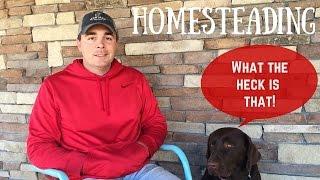 What is Homesteading?