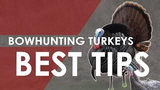 Bowhunting Turkeys Guide - 5 Best Tips To Get You Started