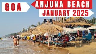 Goa Anjuna Beach January 2025 | Goa Vlog January 2025