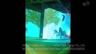 We can create a completely unique and personalized LED immersive display experience  Create various
