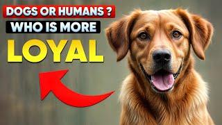 8 Signs Why Are Dogs More Loyal than Humans/Dogs Are More Loyal