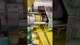 rapeseed oil screw press