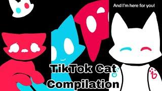 TikTok Cat Compilation #1 By Feyzart! ️🩵