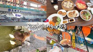 가오슝여행 vlog ep.1 | (구)대만유학생의 4박5일 먹깨비여행 가성비 호텔추천, 현지인 만두맛집, 대만은 역시 훠궈, 카피바라 영접 까르푸쇼핑, 리우허야시장