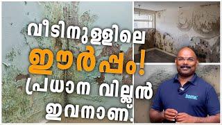 How to prevent Moisture /Dampness from Home wall | Dampness Causes #hometech #homedotapp