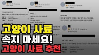 내돈내산 고양이 사료 추천 | 사료에만 1,500만 원 써본 8년차 집사가 알려드립니다.