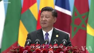 【辱包】维尼唱这首歌（原曲：有何不可-许嵩）低音调版