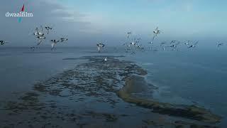 de Wadden, natuur of ook cultuur?