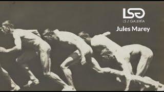 Jules Marey - 2 minutos de arte